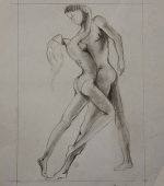 Disegni