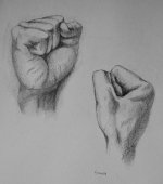 Disegni
