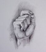 Disegni